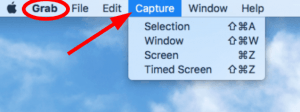 capture pdf file with snagit mac save as jpg