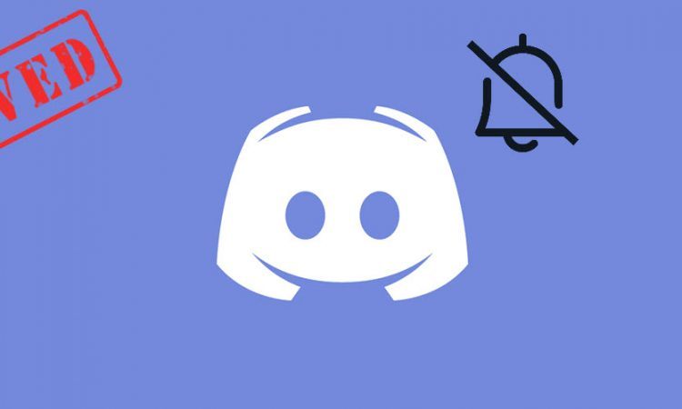 [Fixed] Discord Notifications Not Working - Super Easy