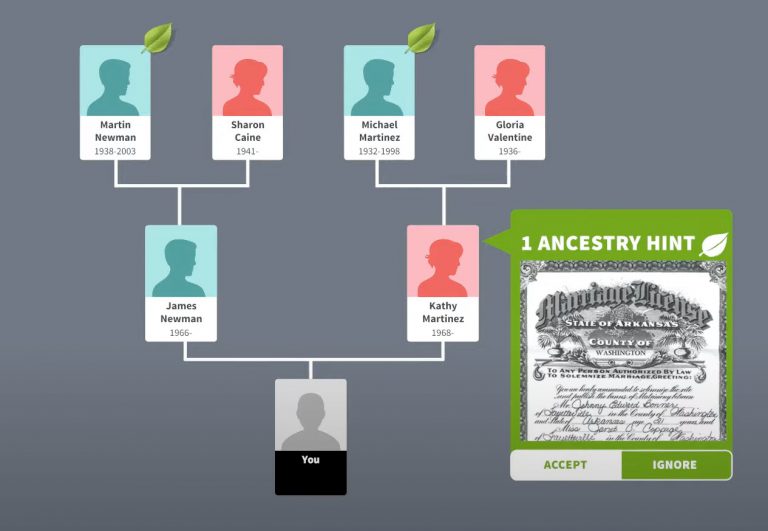 how-to-trace-your-family-tree-for-free-online-2023-super-easy