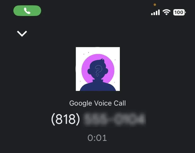 Google Voice Number Lookup: How to Find Who Owns a Google Voice Number